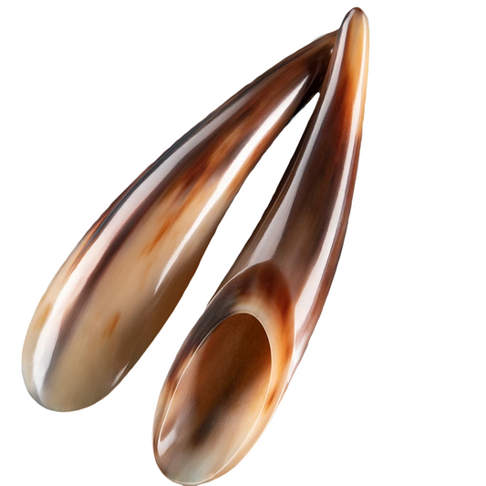 Polished Buffalo Horn